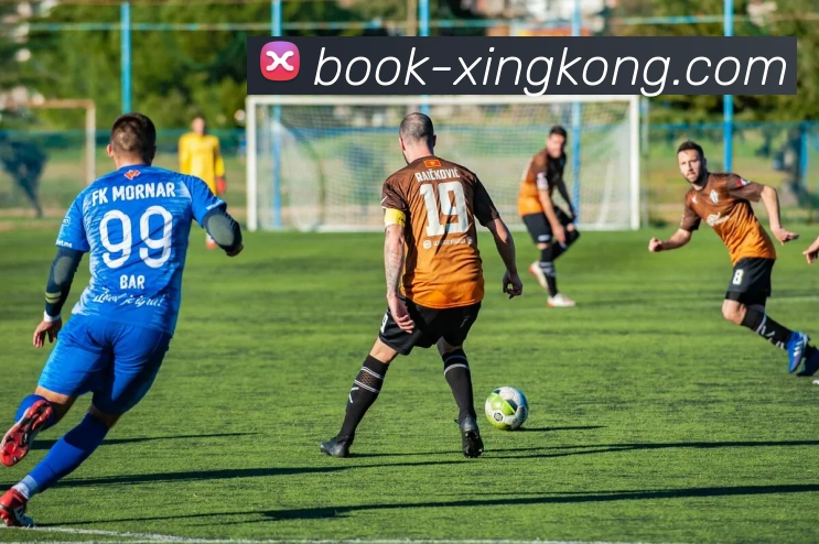 XK体育官方平台平台生态图