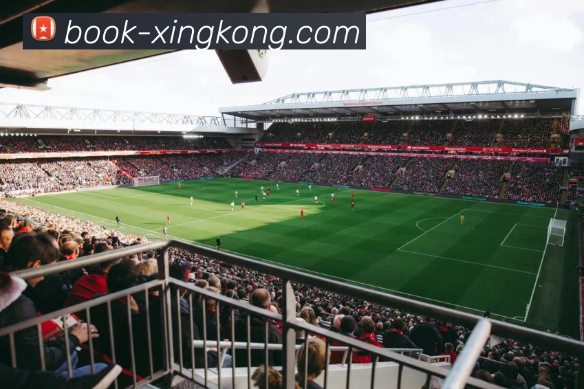 XK体育官方平台全站App